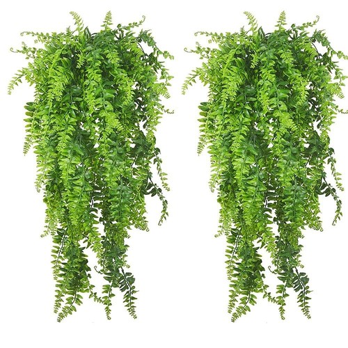2pcs reptile plants - 2pcs, hanging