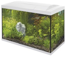 Superfish Start 70 Complete Tropical Aquarium Fish Tank Set 60L Black or White