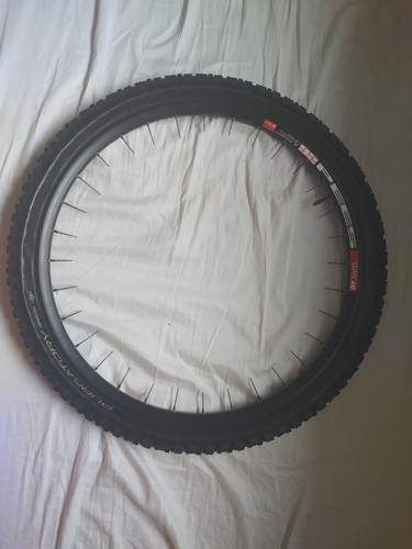 Swiss 533d rims and - dt,