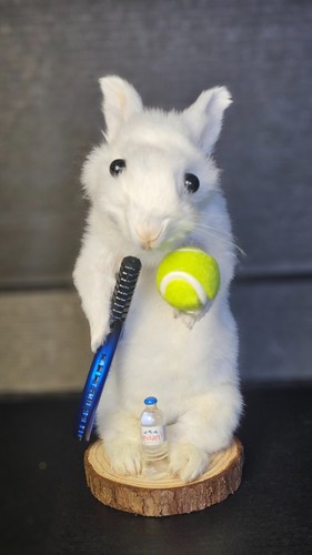 Tennis bunny funny taxidermy - bunny,