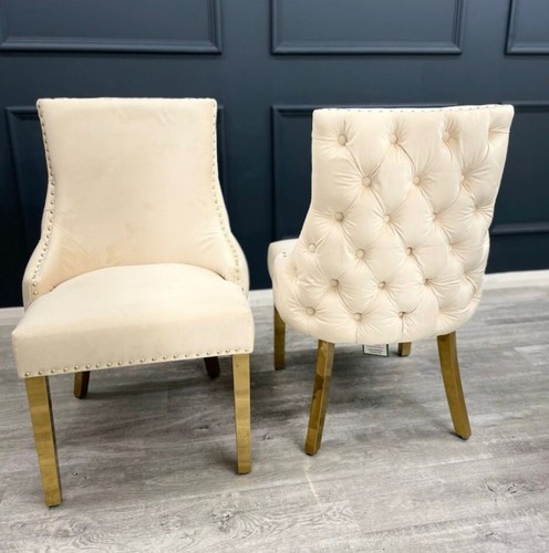 Bianca cream velvet - x,