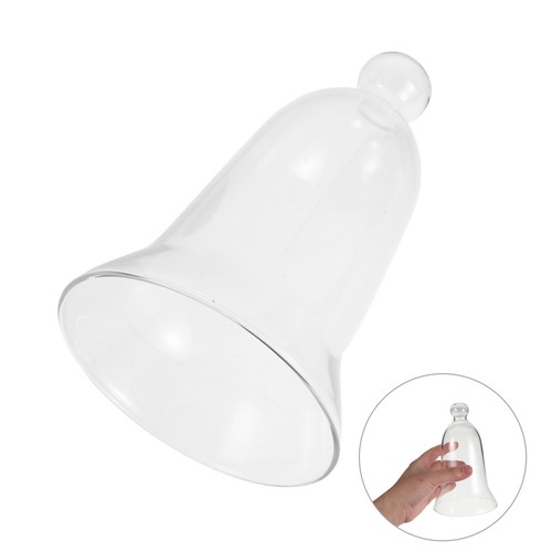 Large glass display dome - large,