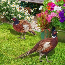 Lifelike Garden Decorations | Set of 2 Metal Pheasant Garden Ornaments
