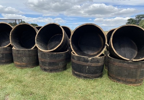 Half whisky barrel planters - whisky,