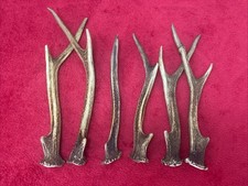 6 PIECES OF SIKA DEER ANTLERS