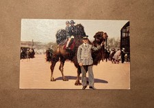 At the Zoo Oilette Postcard