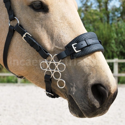 Flower hackamore bitless - flower,