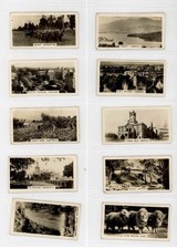 Westminster Tobacco Australia