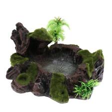Reptile Plant Decorative Water Dish & Food Bowls for Tortoise  Spider
