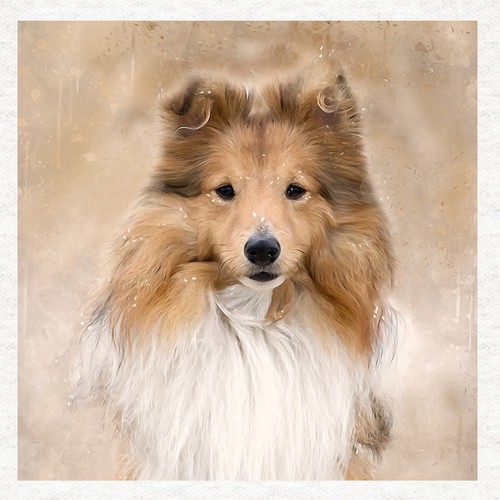 Dog shetland sheepdog fabric - shetland, sheepdog-
