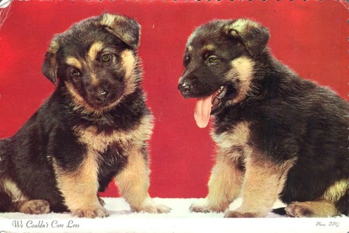 Greetings from missouri german - from,