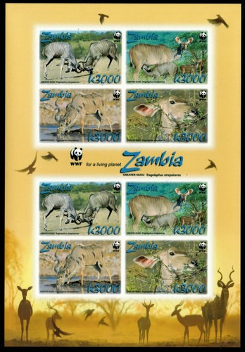Zambia 2008 wwf kudu animals - zambia,