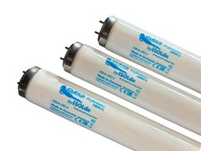 Sunbed tannning lamps cleo - tannning,
