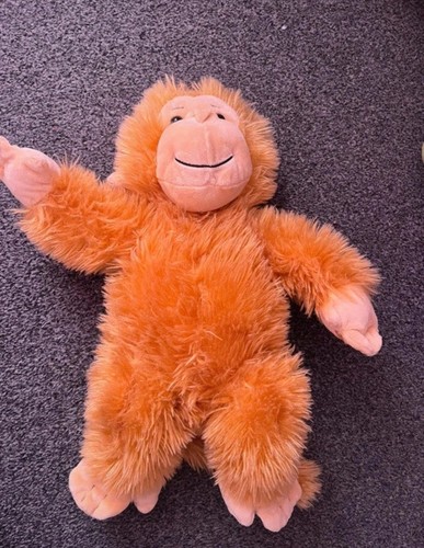 Rare teddy mountain brown - rare,