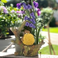 Adorable Wrens and Bluebells