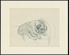 MASTIFF DOG SLEEPS ON CHAIR LOVELY 1930'S DOG ART PRINT KF BARKER READY MOUNTED