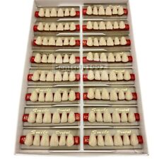 16sets/box Dental Acrylic