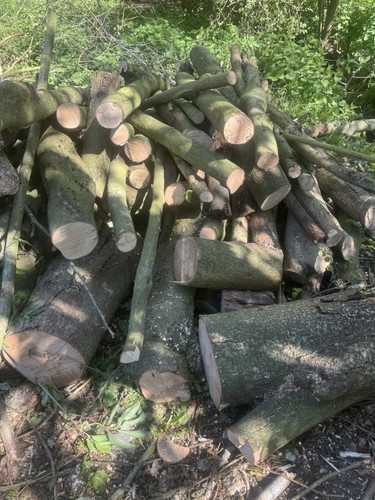 Raw green cut - raw,,