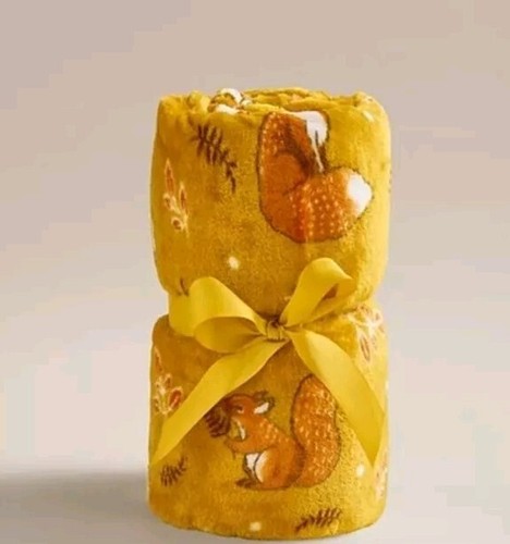 Autumn animals squirrel - autumn,