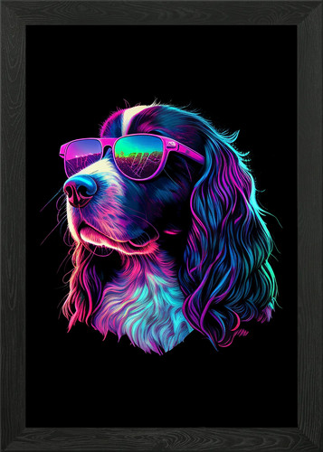 English springer spaniel - springer,