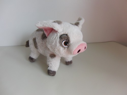 Moana pua pet - moana,