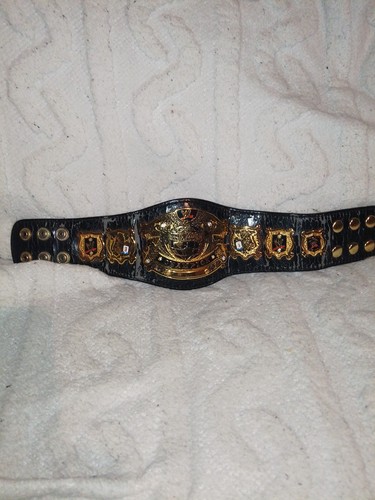Wwe undisputed championship - wwe,