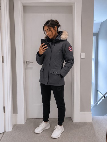 Canada goose arctic program - goose,