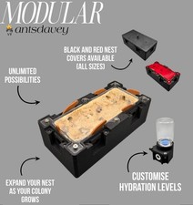 Modular 2:1 Small Nest | Ant Farm/ Ant Nest