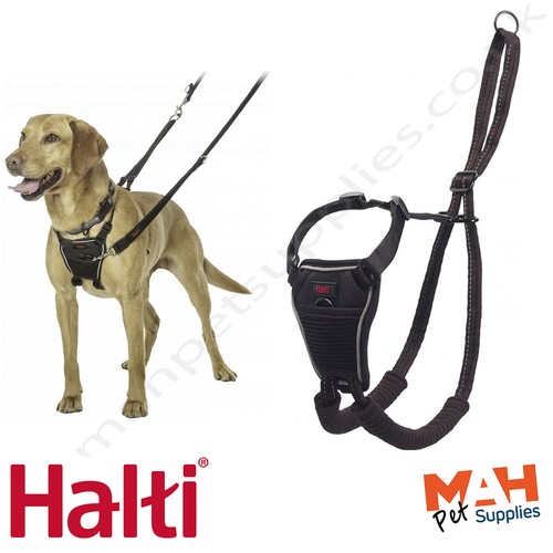 Halti pull dog - halti,