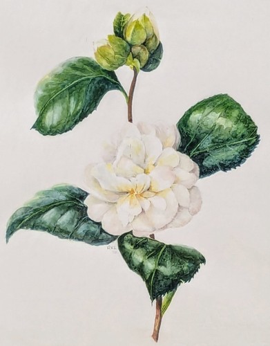 Beautiful original signed - beautiful,