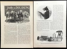 "Thrills in Dog Racing" 1927
