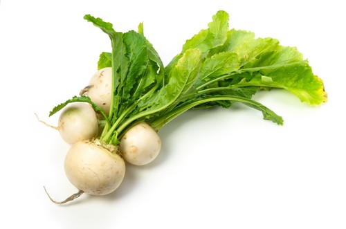 Turnip snowball seeds - seeds, –