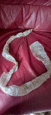 Shed corn snake skin 49 - snake,