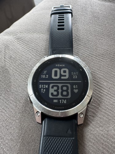 Garmin fenix 47mm silver - garmin,