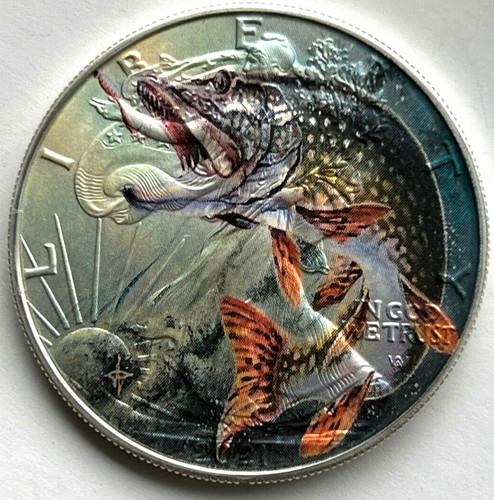 Bass fishing american silver - american,