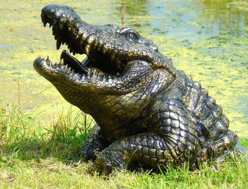 Deluxe half crocodile - half-crocodile, garden