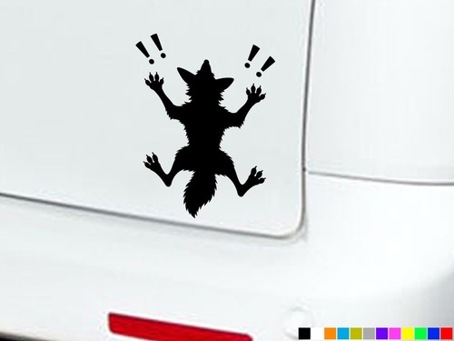Coyote wolf splat funny - wolf, car