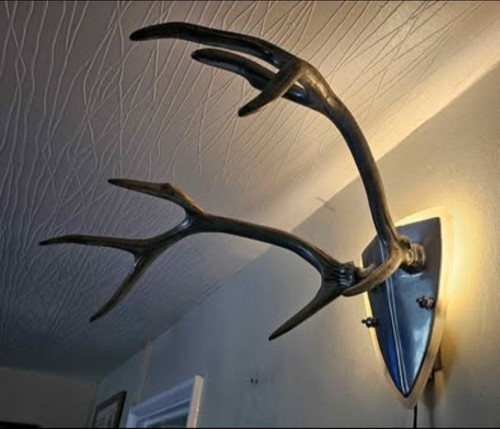 Rare vintage stag antler - rare,