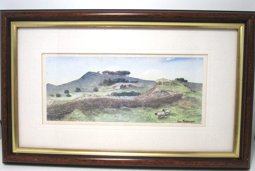 Colin williamson framed print - williamson,