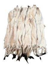 Tanned Weasel, Natural White