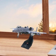 1:100 Simulation A10 with