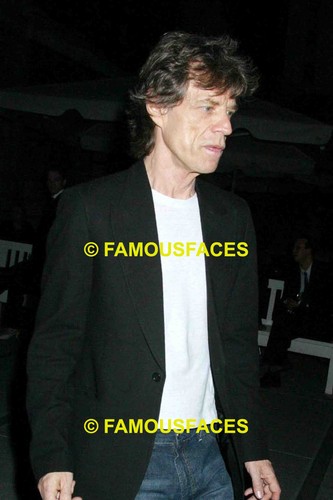 Mick jagger the rolling stones - mick,