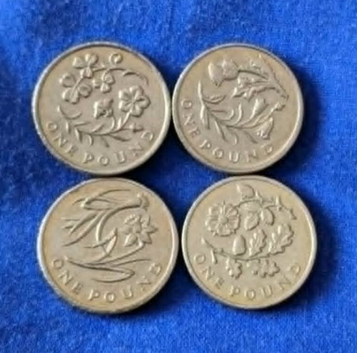 Old flower floral pound - flower,