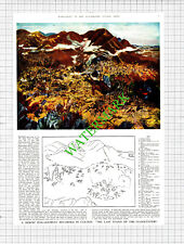 1st Bn The Gloucestershire Regiment Imjin Harvey Gloucester Hill -1954 Cutting  