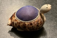 Tiger Cowrie Seashell Turtle