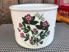 PORTMEIRION BOTANIC GARDEN RHODODENDRON LEPIDOTUM 1972 PLANT POT