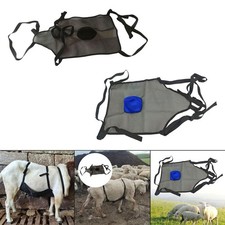Sheep Fly Net Abdomen Blanket