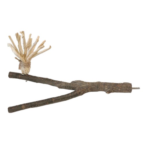 Parrot tree branch - tree,