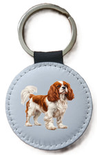 Cavalier King Charles Spaniel