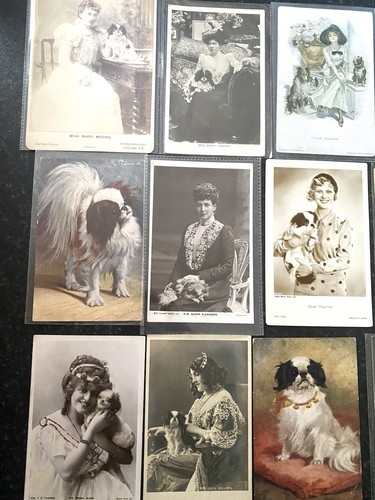 Japanese chin postcards - chin, a